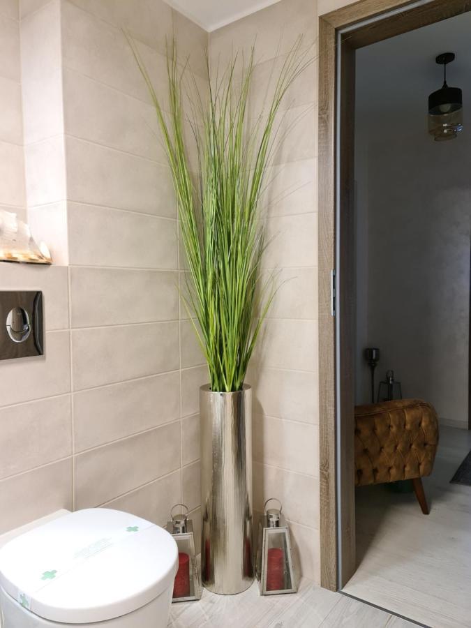 Apartment Alonisos Lux Brasov Ngoại thất bức ảnh
