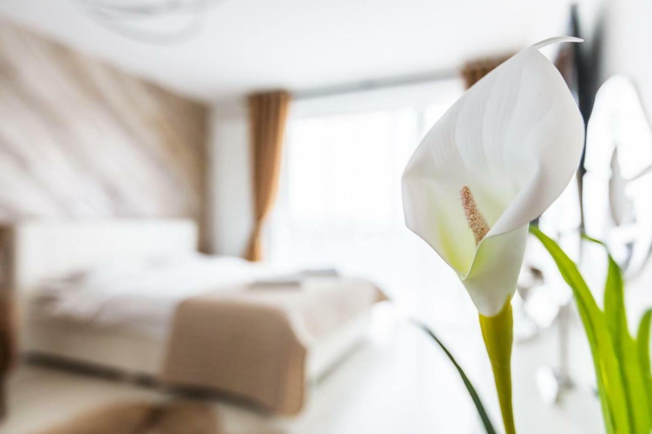 Apartment Alonisos Lux Brasov Ngoại thất bức ảnh